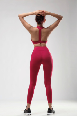 Women Seamless Workout Outfits Sport Bar And Legging Maroon