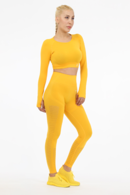 Women Seamless Workout Outfits Sport Long Sleeve And Legging Yellow Net