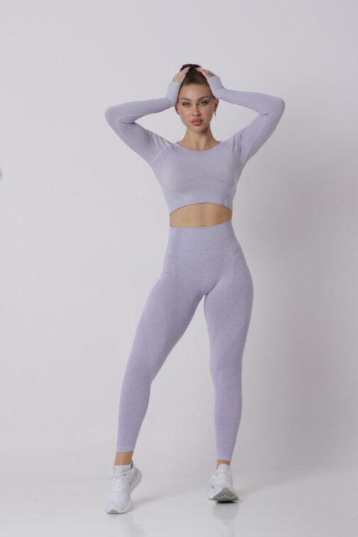 Women Seamless Workout Outfits Sport Long Sleeve And Legging Light Purple