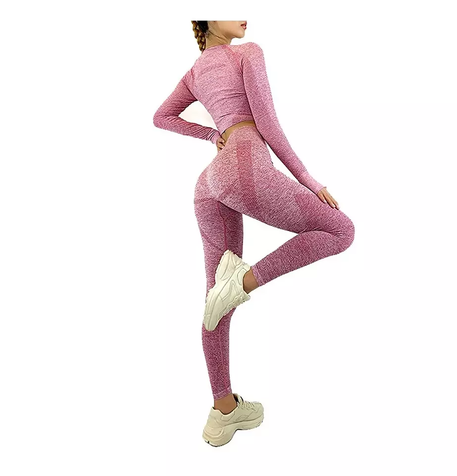 Women Seamless Workout Outfits Sport Long Sleeve And Legging Grey Plain Pink